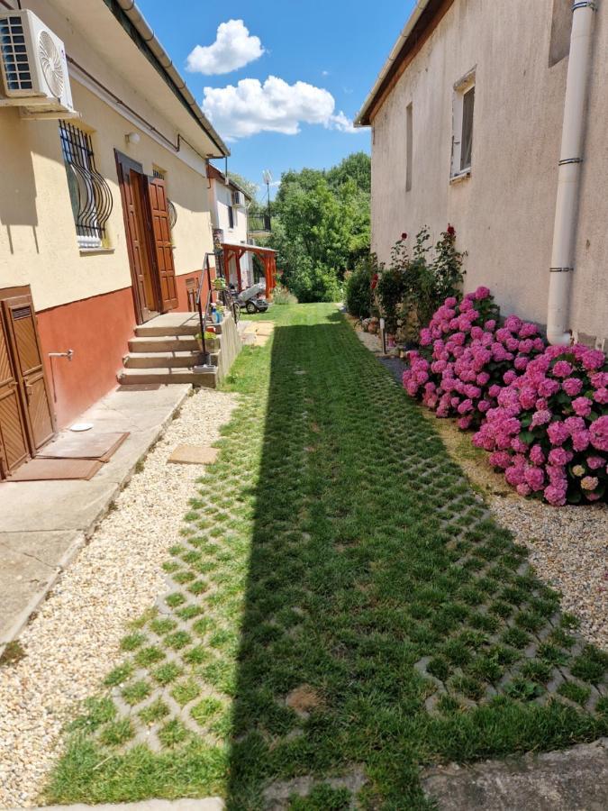 Gecse-Villa Sarospatak Bagian luar foto